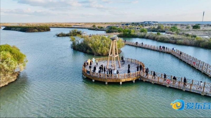 能够在强者 能够在强者