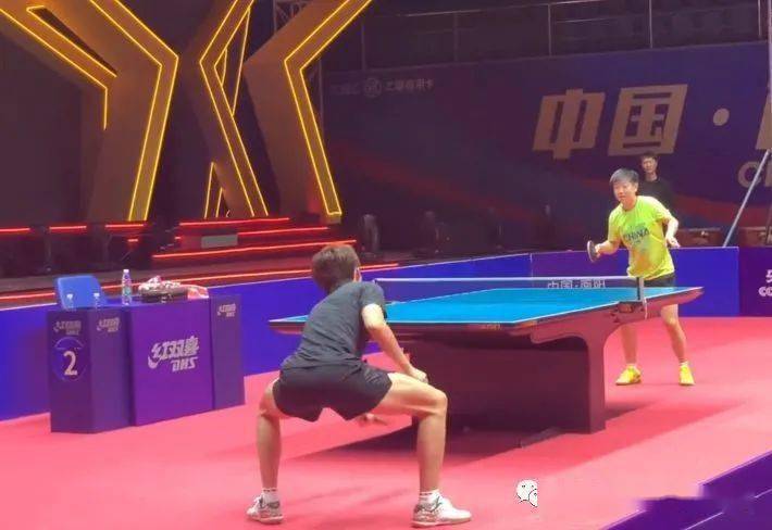 的展示场 的展示场